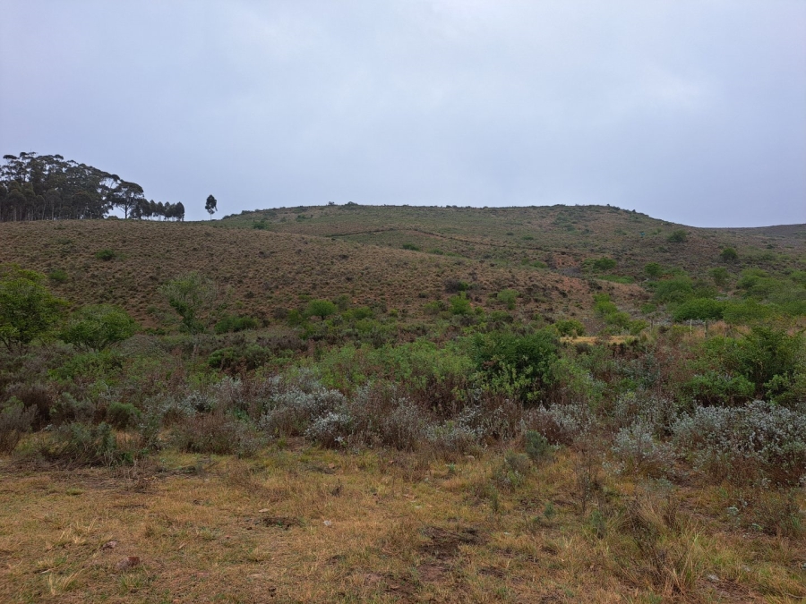 17 Bedroom Property for Sale in Riversdale Rural Western Cape